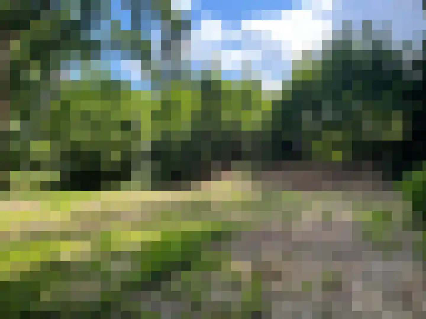 Oude Bosweg Beek thumbnail 47