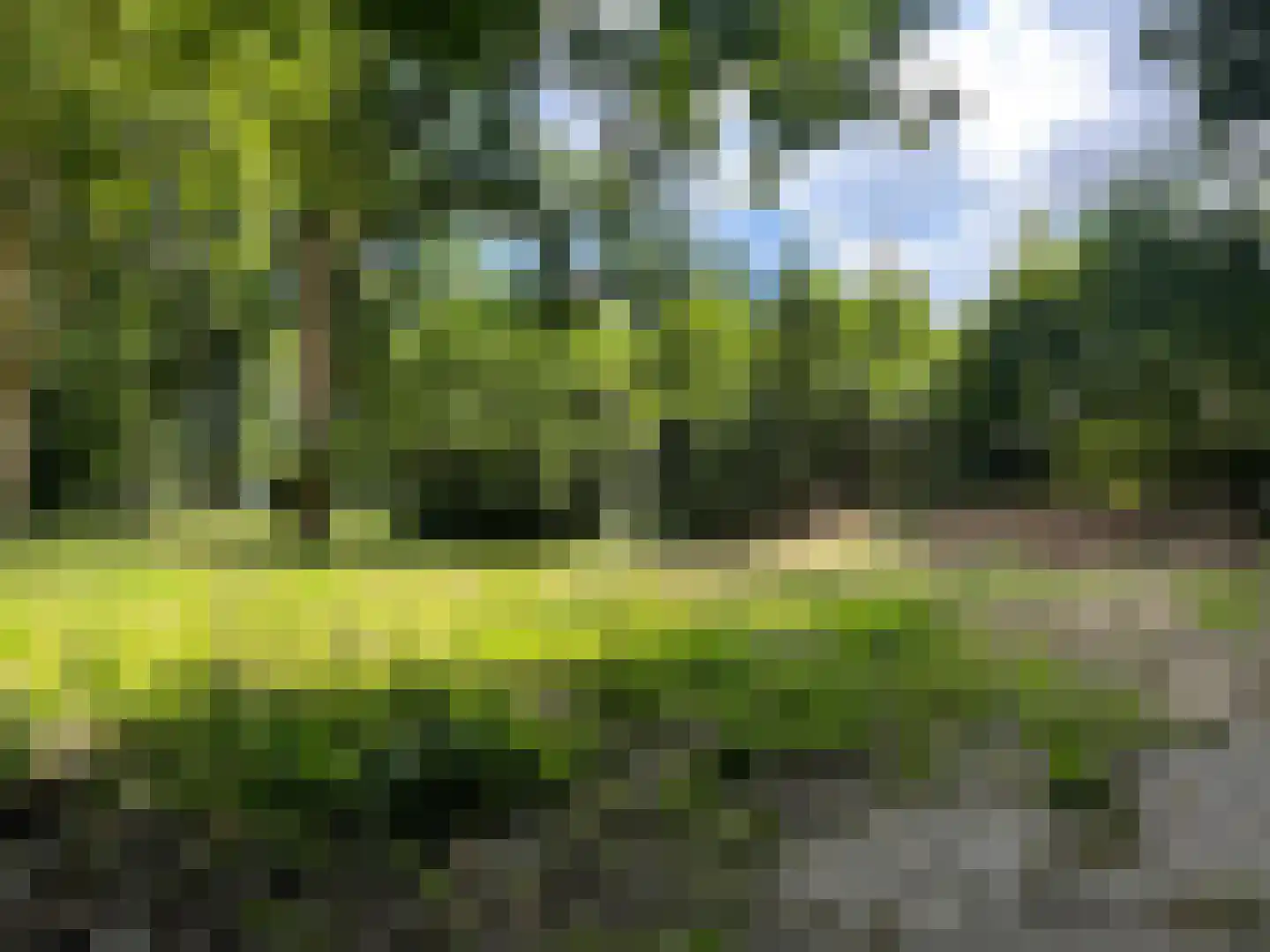 Oude Bosweg Beek thumbnail 48