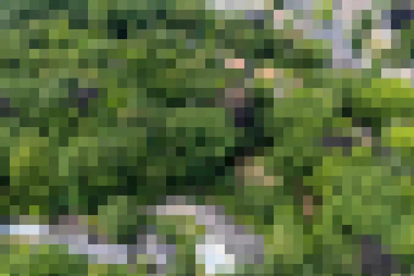 Oude Bosweg Beek thumbnail 49
