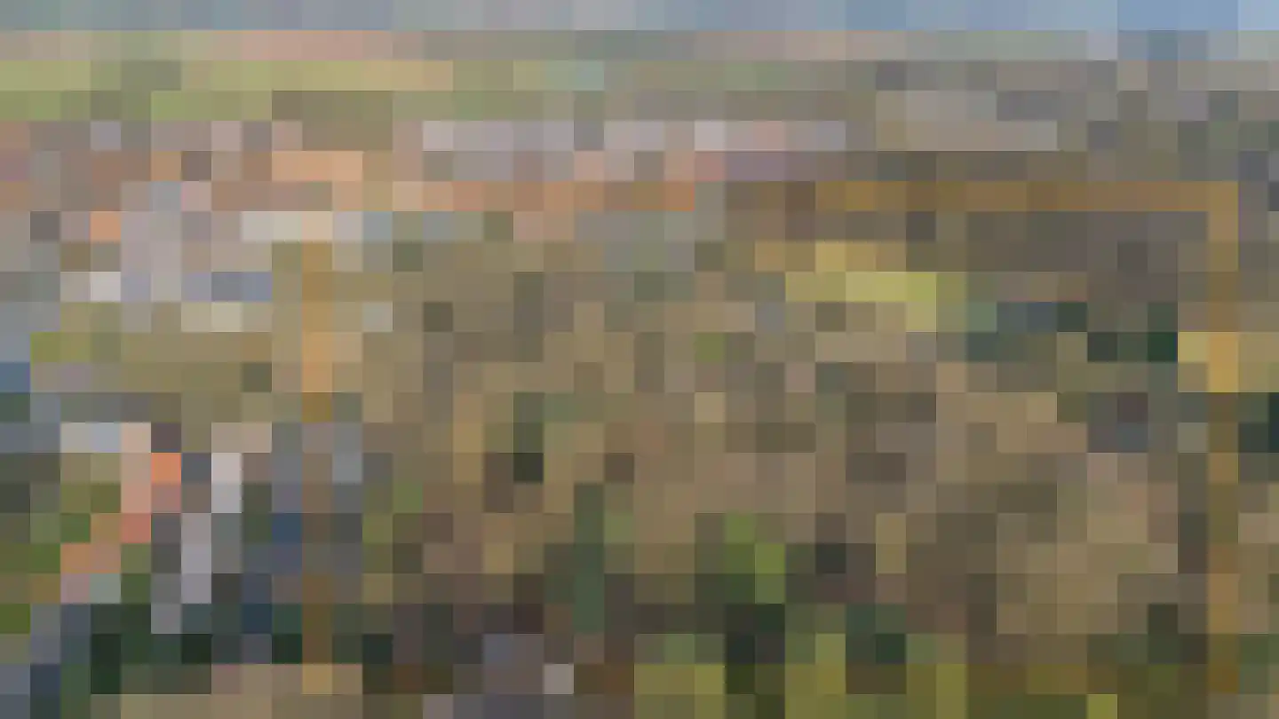 Oude Bosweg Beek thumbnail 5