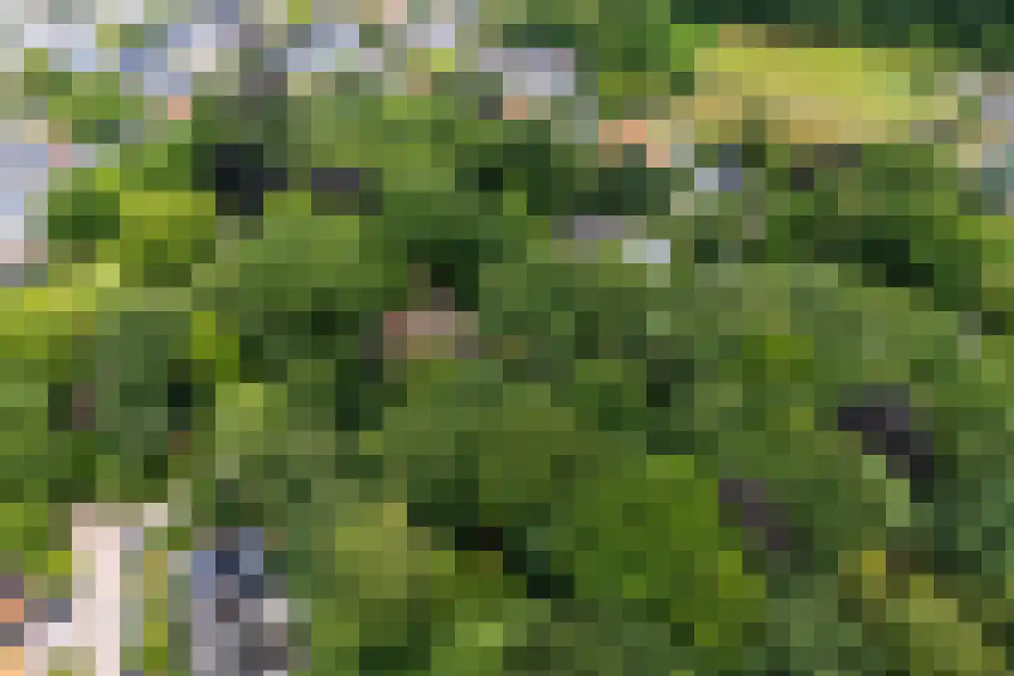 Oude Bosweg Beek thumbnail 50