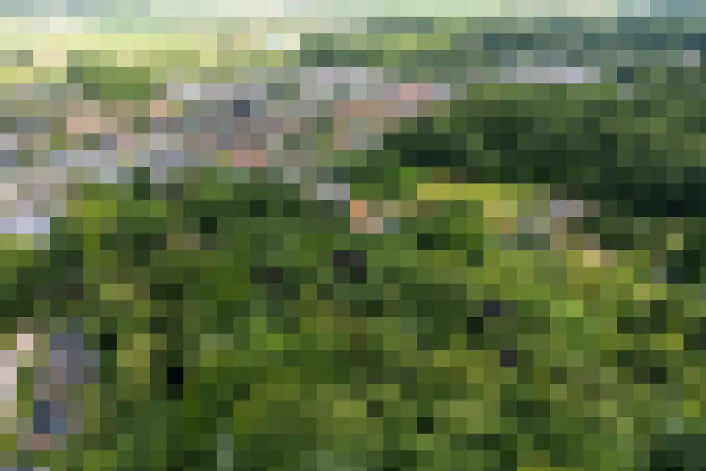 Oude Bosweg Beek thumbnail 52