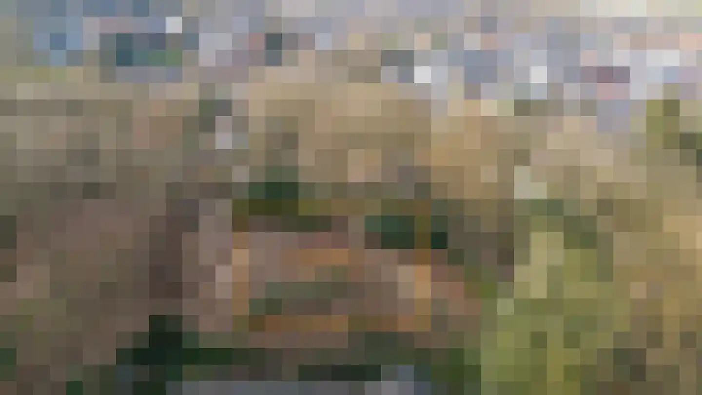 Oude Bosweg Beek thumbnail 6