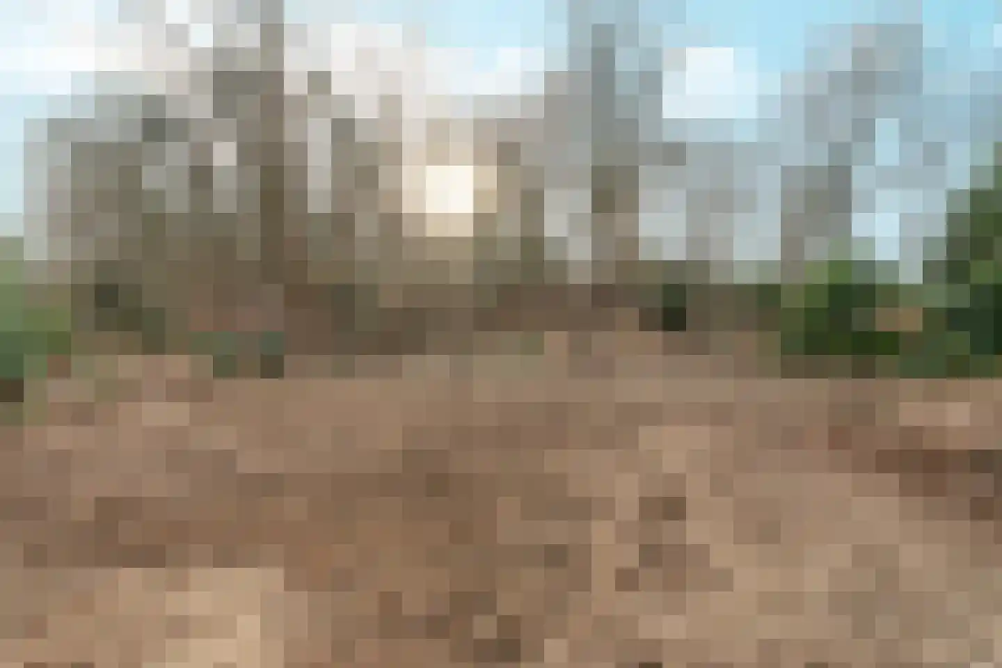 Oude Bosweg Beek thumbnail 7
