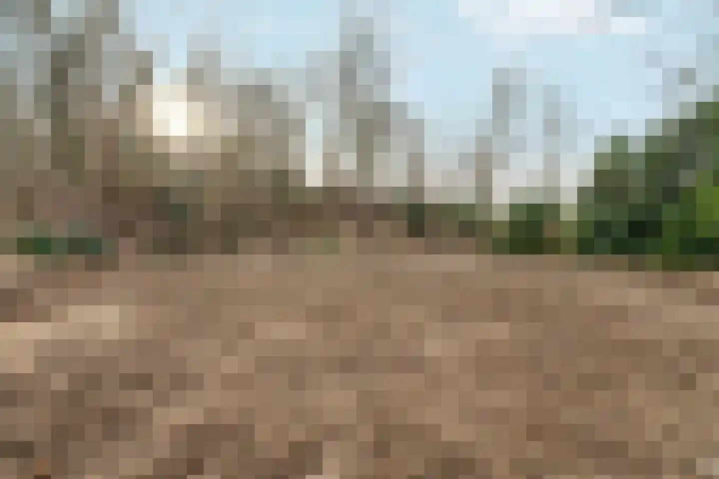 Oude Bosweg Beek thumbnail 8