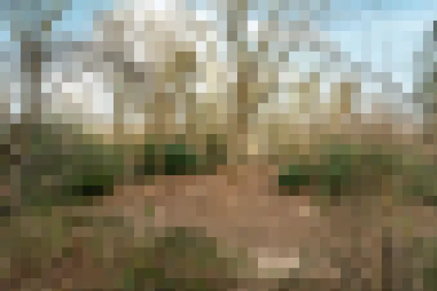 Oude Bosweg Beek thumbnail 9