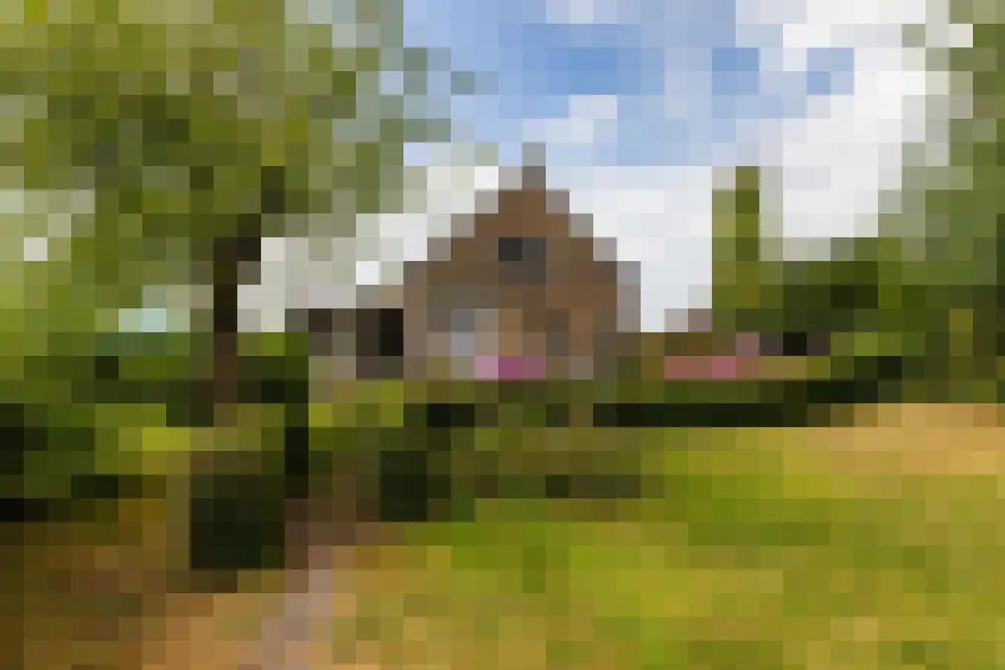 Oude Bovendijk 246 Rotterdam thumbnail 42