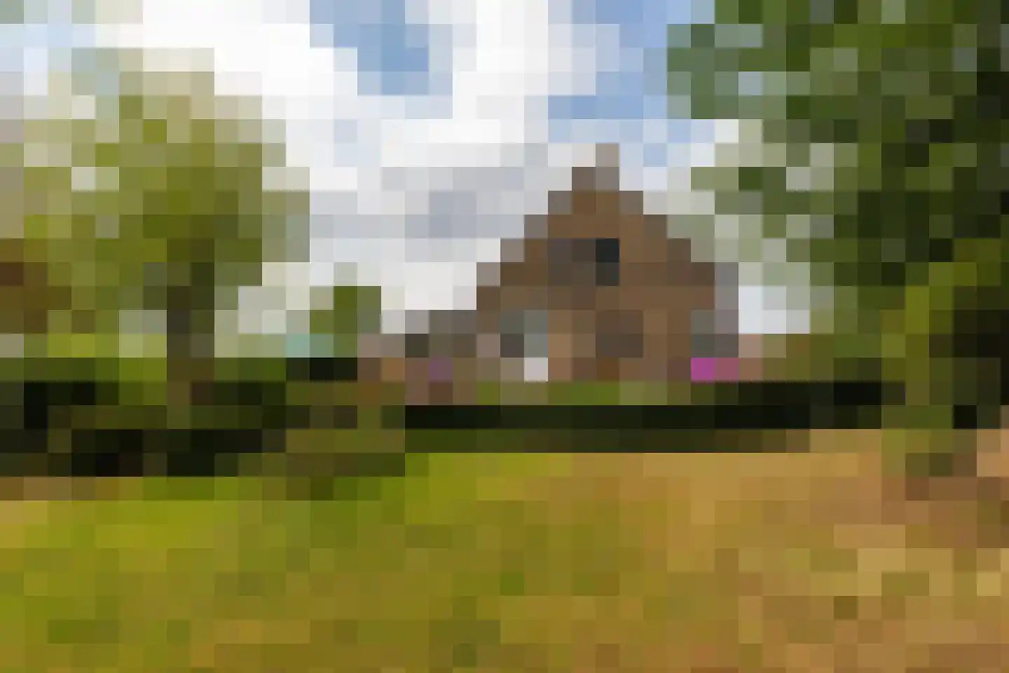 Oude Bovendijk 246 Rotterdam thumbnail 43