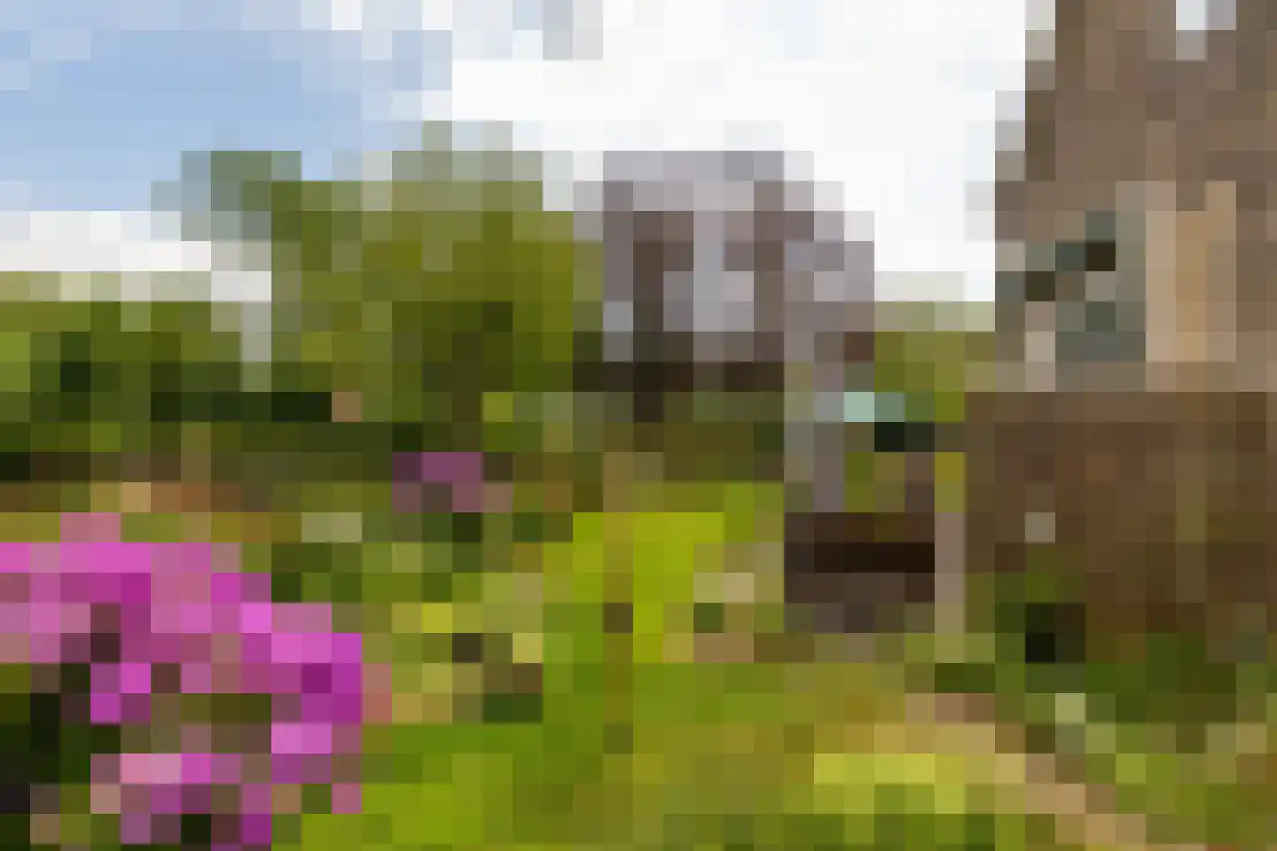 Oude Bovendijk 246 Rotterdam thumbnail 44