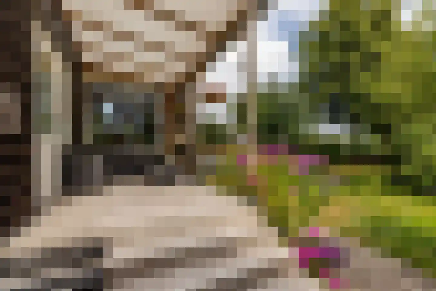 Oude Bovendijk 246 Rotterdam thumbnail 48
