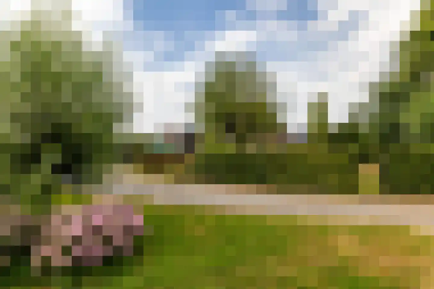 Oude Bovendijk 246 Rotterdam thumbnail 57