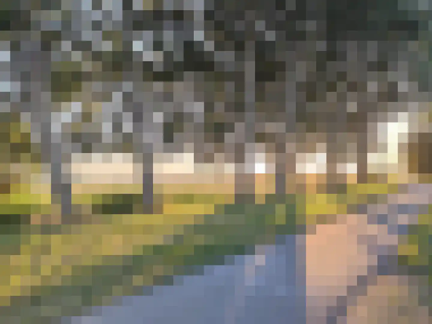 Oude Bovendijk 287 B Rotterdam thumbnail 55