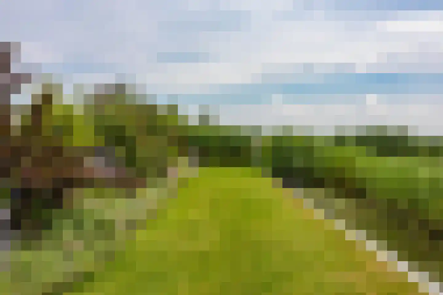 Oude Bovendijk 287 B Rotterdam thumbnail 61