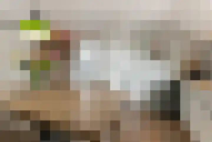 Oude Bovendwarsweg 28 't Harde thumbnail 22