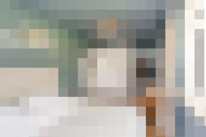 Oude Bovendwarsweg 28 't Harde thumbnail 25