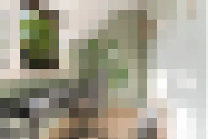 Oude Bovendwarsweg 28 't Harde thumbnail 30