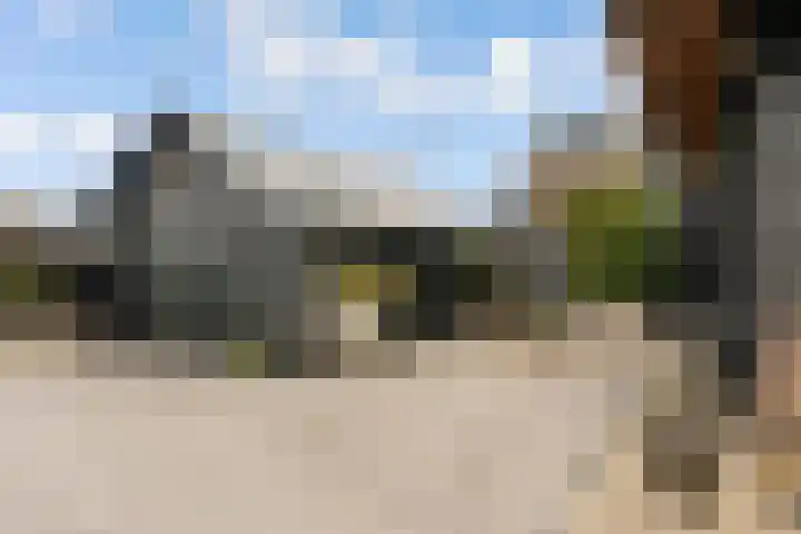 Oude Bovendwarsweg 28 't Harde thumbnail 34