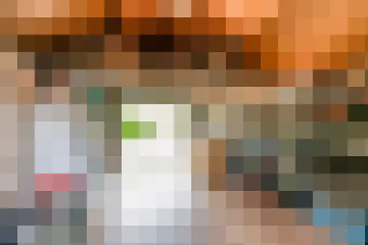 Oude Bovendwarsweg 28 't Harde thumbnail 37