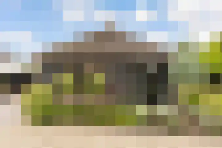 Oude Bovendwarsweg 28 't Harde thumbnail 40