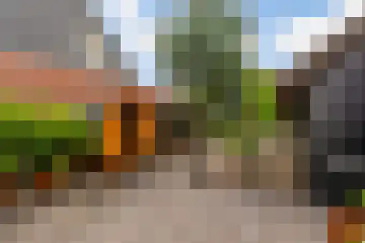 Oude Bovendwarsweg 28 't Harde thumbnail 44