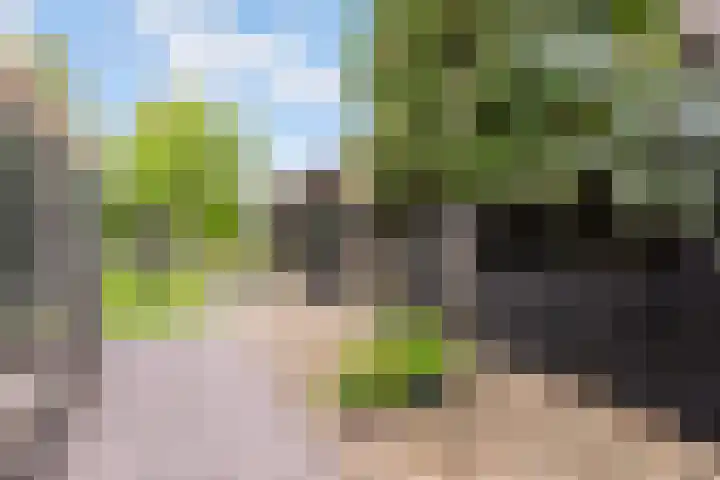 Oude Bovendwarsweg 28 't Harde thumbnail 46