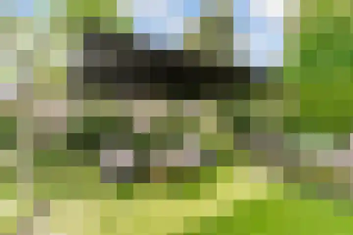 Oude Bovendwarsweg 28 't Harde thumbnail 48