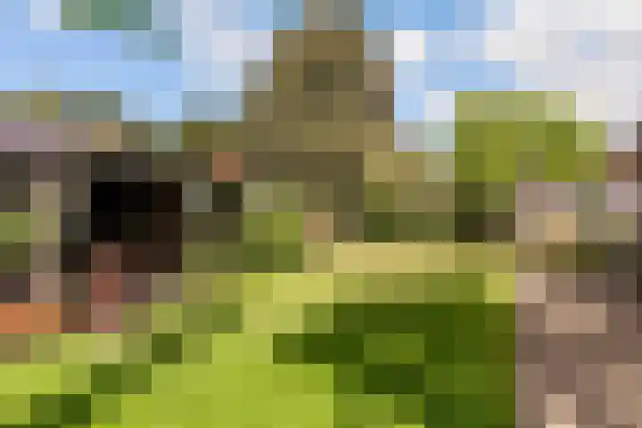 Oude Bovendwarsweg 28 't Harde thumbnail 49
