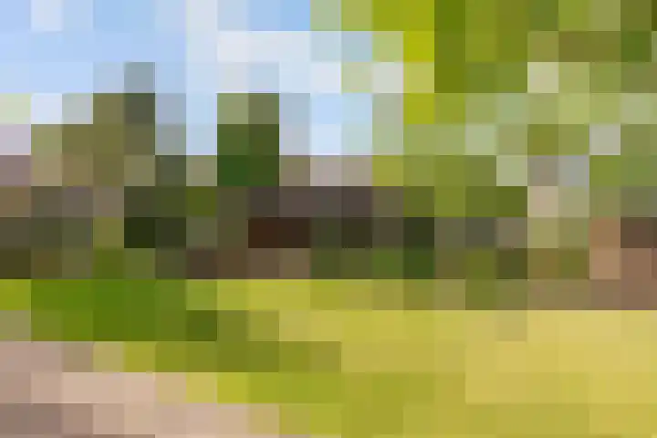 Oude Bovendwarsweg 28 't Harde thumbnail 5