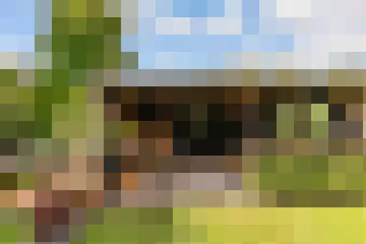 Oude Bovendwarsweg 28 't Harde thumbnail 50