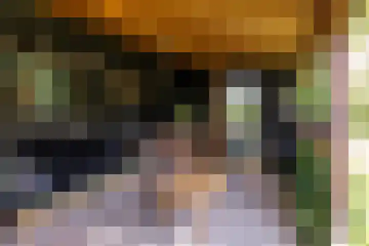 Oude Bovendwarsweg 28 't Harde thumbnail 51