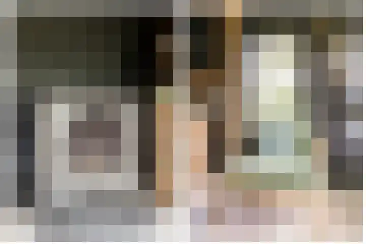 Oude Bovendwarsweg 28 't Harde thumbnail 54