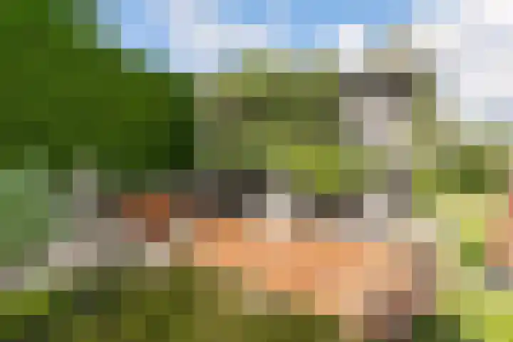 Oude Bovendwarsweg 28 't Harde thumbnail 55
