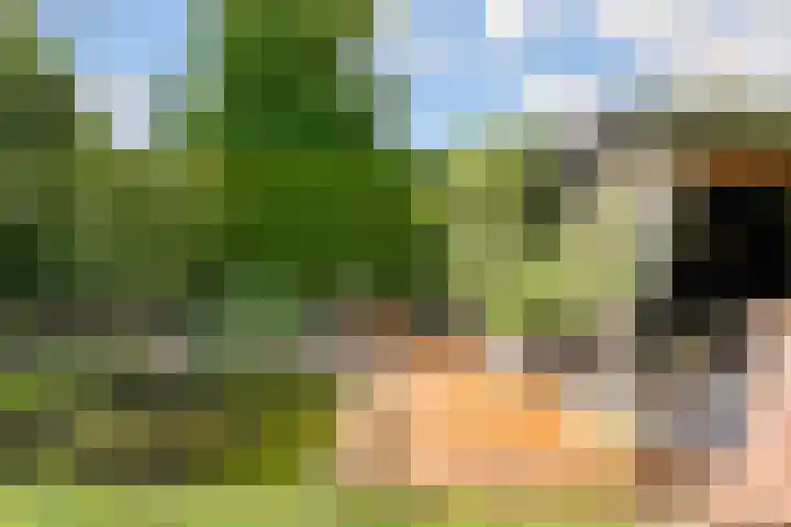 Oude Bovendwarsweg 28 't Harde thumbnail 56