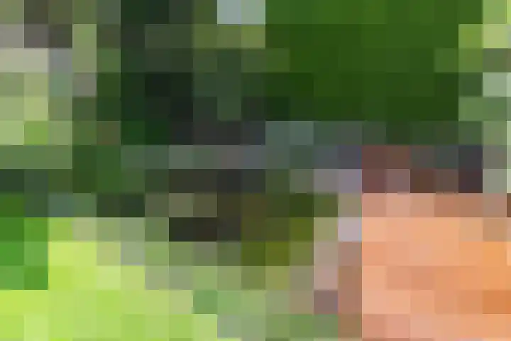 Oude Bovendwarsweg 28 't Harde thumbnail 57