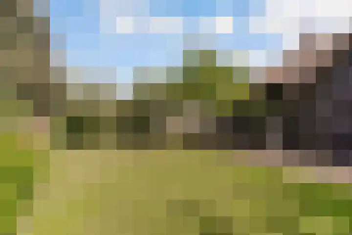 Oude Bovendwarsweg 28 't Harde thumbnail 58