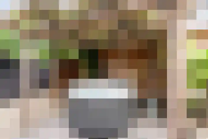 Oude Bovendwarsweg 28 't Harde thumbnail 6
