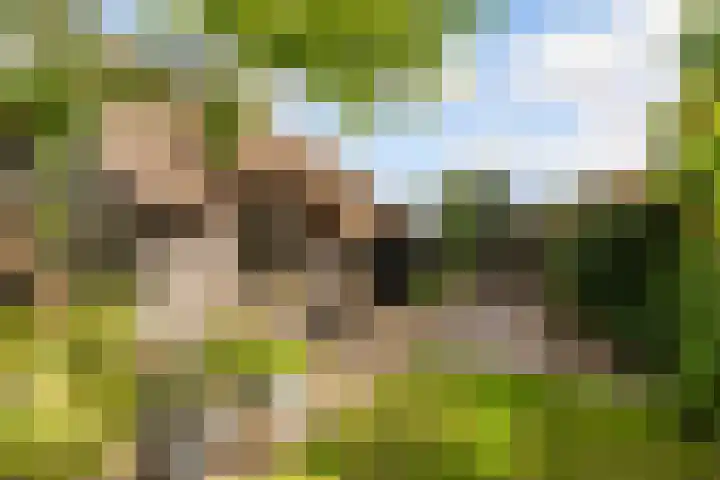 Oude Bovendwarsweg 28 't Harde thumbnail 60
