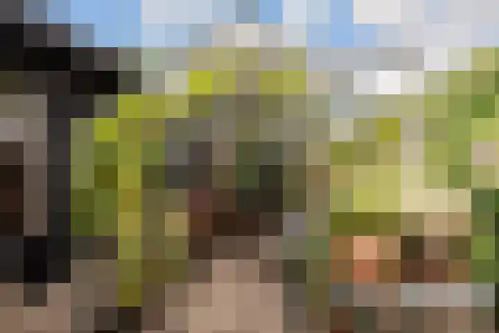 Oude Bovendwarsweg 28 't Harde thumbnail 61