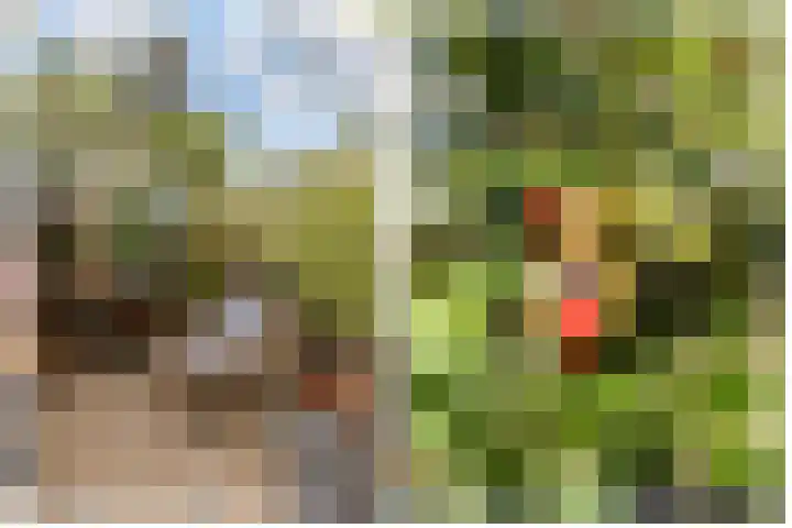 Oude Bovendwarsweg 28 't Harde thumbnail 62