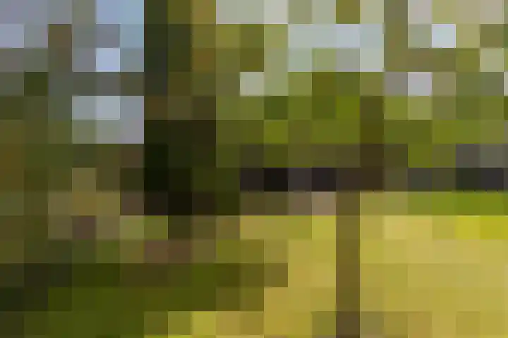 Oude Bovendwarsweg 28 't Harde thumbnail 63