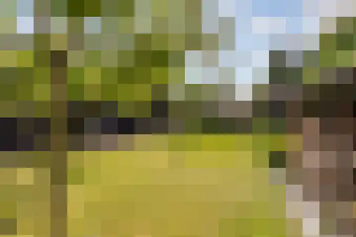 Oude Bovendwarsweg 28 't Harde thumbnail 64