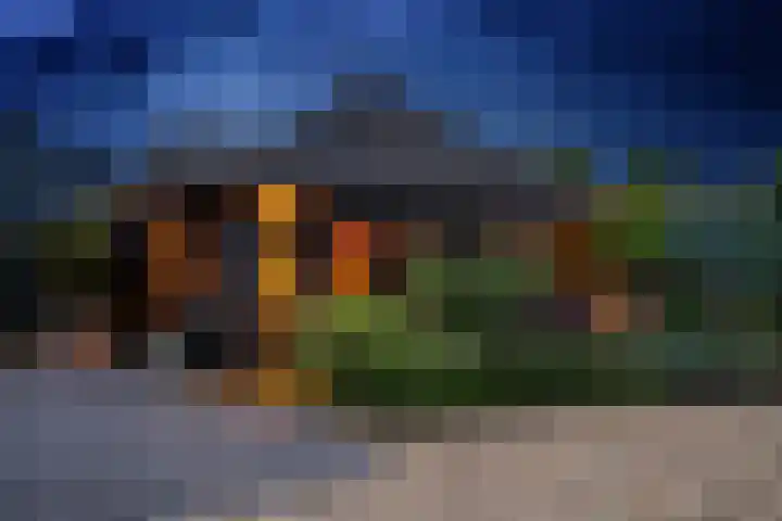 Oude Bovendwarsweg 28 't Harde thumbnail 66