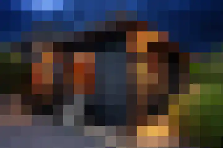 Oude Bovendwarsweg 28 't Harde thumbnail 67