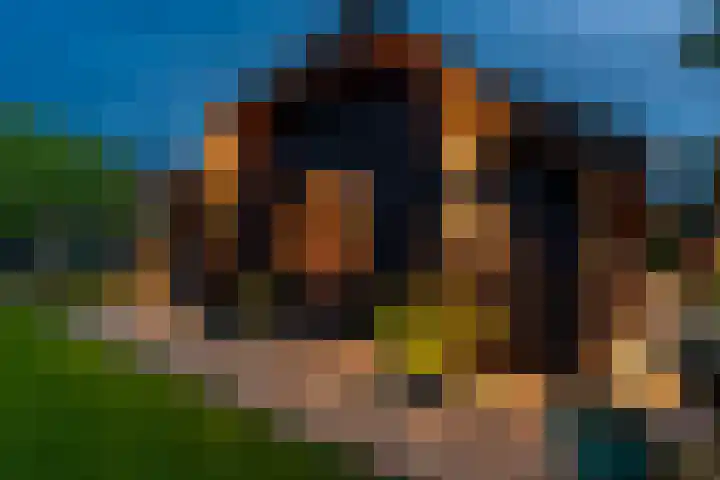 Oude Bovendwarsweg 28 't Harde thumbnail 68