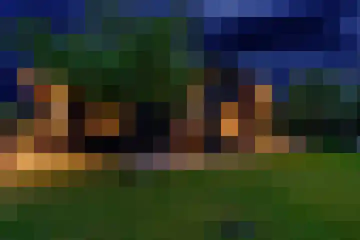 Oude Bovendwarsweg 28 't Harde thumbnail 69