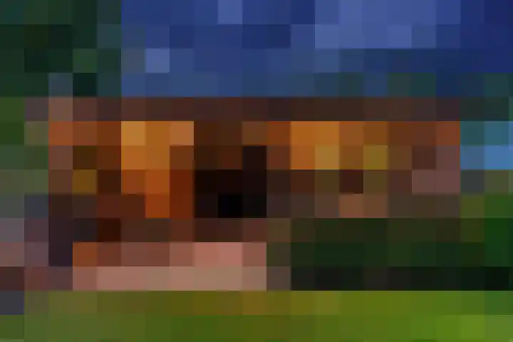 Oude Bovendwarsweg 28 't Harde thumbnail 7