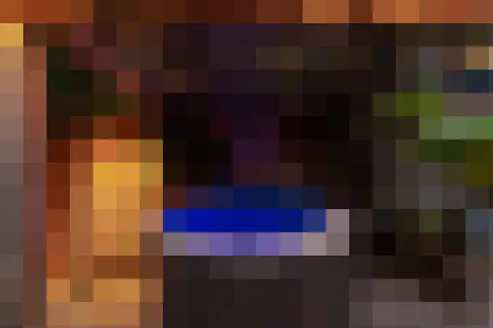 Oude Bovendwarsweg 28 't Harde thumbnail 71
