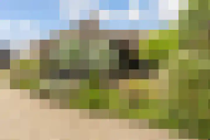 Oude Bovendwarsweg 28 't Harde thumbnail 8
