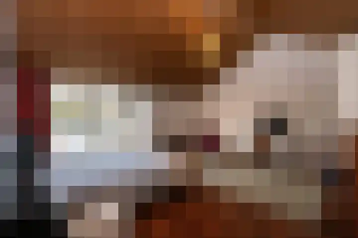 Oude Bovensteweg 6 Molenhoek thumbnail 31