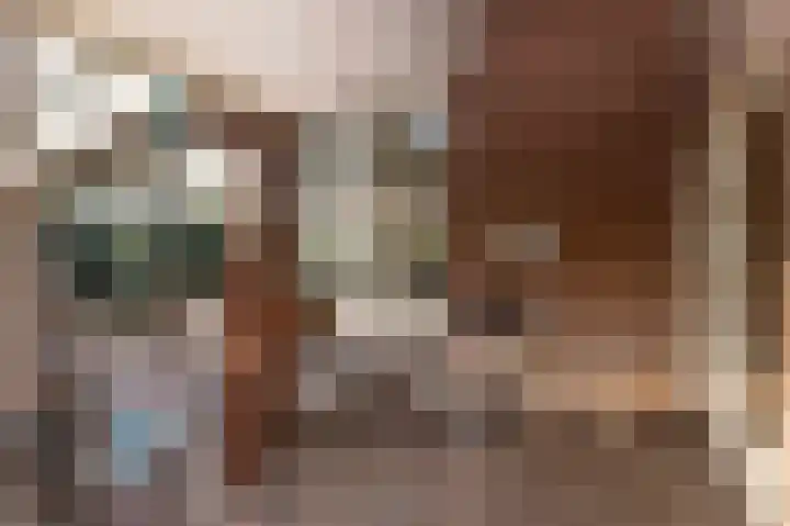 Oude Bovensteweg 6 Molenhoek thumbnail 41